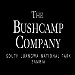 The Bushcamp Company