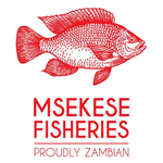 Msekese Fisheries