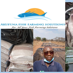 Akufuna Fish Farming Solutions