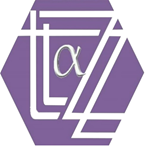 TZ Consultancy Limited