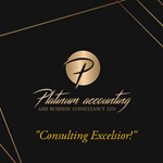 Platinum Accounting and Business Consultancy