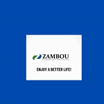 Zambou Financial Services