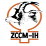 ZCCM Investments Holdings PLC