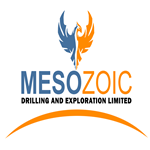 Mesozoic Drilling and Exploration Limited