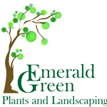 Emerald Green Plants and Landscaping